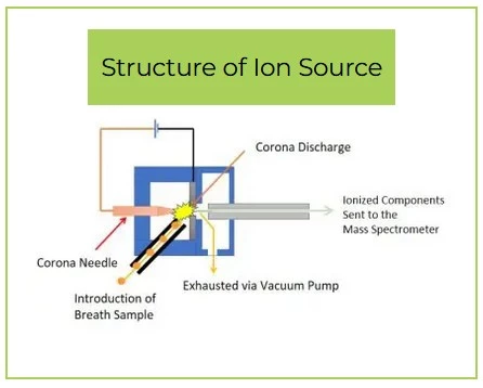 analyse nylon-6 par pyrolyseur LCMS